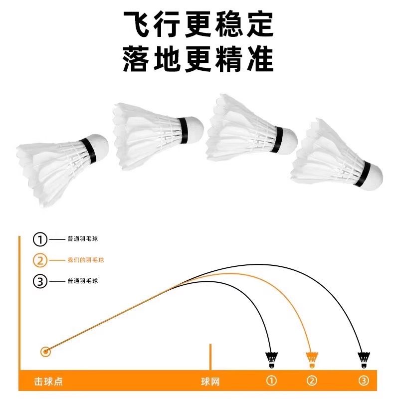 Lion Badminton Shuttlecock Goo - Feather Shuttlecock review and price